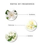 Enchanteur Gorgeous Roll-On Deodorant for Women (50ml) - Image 5