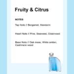 Nautica Blue Ambition Eau De Toilette Vaporisateur Spray (100ml) - Image 5
