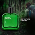 Wild Stone Forest Spice Eau De Parfum (50ml) - Image 5