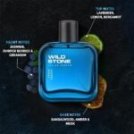 Wild Stone Hydra Energy Eau De Parfum (50ml) - Image 2