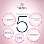 Yardley London Mist Daily Wear Perfume Eau de Toilette For Women (100ml) - Image 4