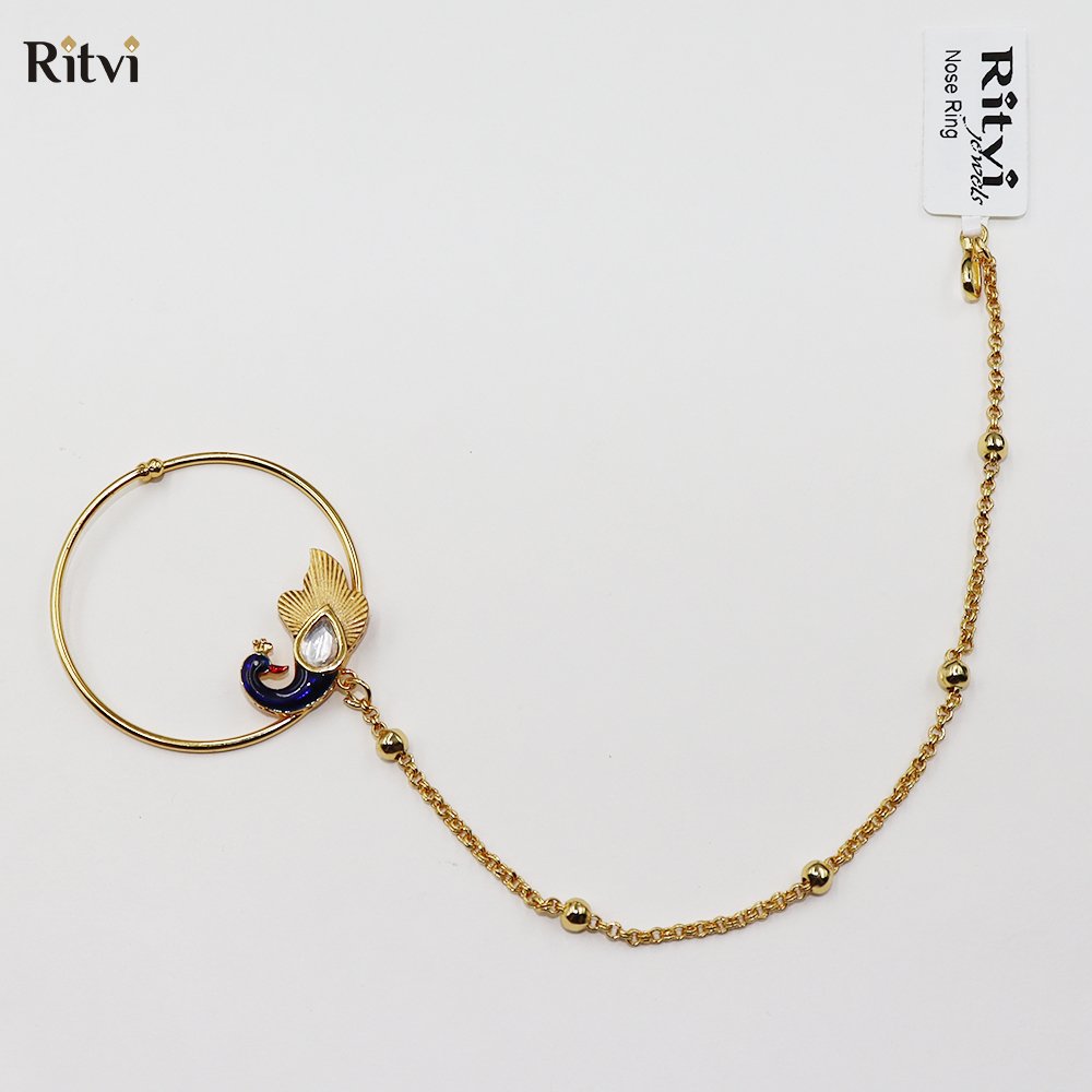 ritvi aparna 2