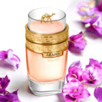 Arabia Madame By Le Chameau Perfume for Women (100ml) 01