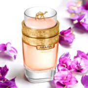 Le Chameau Arabia Madame Perfume for Women (100ml) - Image 3