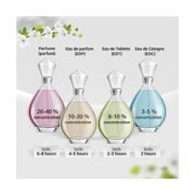 Bentley Momentum Intense Eau De Parfum For Men (100ml) - Image 3