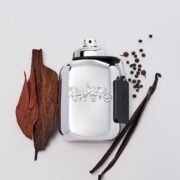 Coach New York Platinum Eau De Parfum (100ml) - Image 3