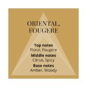 Colour Me Homme Gold Eau De Parfum (90ml) - Image 4