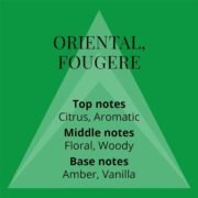 Colour Me Homme Green Eau de Parfum 90ml - Image 4