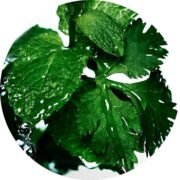 Davidoff Cool water Man Eau De Toilette - Image 5