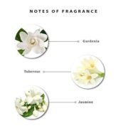 Enchanteur Gorgeous Roll-On Deodorant for Women (50ml) - Image 5