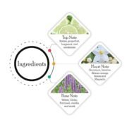 Franck Olivier Black Touch Deodorant Spray (250ml) - Image 3