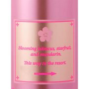 Victoria's Secret Garden View Sunlit Resort Fragrance Mist (250ml) - Image 2