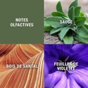 Geoffrey Beene Grey Flannel Eau De Toilette For Men (120ml) - Image 3