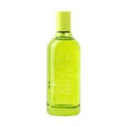 Nike Yummy Musk Woman Eau de Toilette (100ml) - Image 2