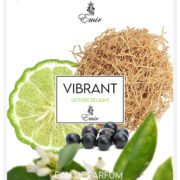 Paris Corner Emir Vibrant Vetiver Delight Eau De Parfum For Unisex (100ml) - Image 2