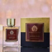 Paris Corner Ministry Of Oud - Amber Oud Extrait De Perfume 100ml - Image 2