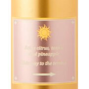 Victoria's Secret Private Sundeck Fragrance Mist (250ml) - Image 2