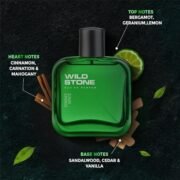 Wild Stone Forest Spice Eau De Parfum (50ml) - Image 2