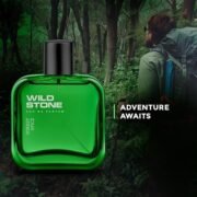 Wild Stone Forest Spice Eau De Parfum (50ml) - Image 5