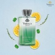 Yardley London Gentleman Urbane Daily Wear Perfume (100ml) - Image 2