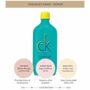 Calvin Klein CK One Summer Relax Eau de Toilette-100ml - Image 4