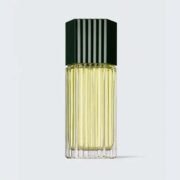Estee Lauder For Men Cologne Spray-100ml