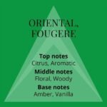 Colour Me Homme Green Eau de Parfum 90ml - Image 4