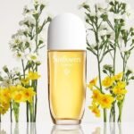 Elizabeth Arden Sunflowers Sunrise EDT Perfume For Women (100ml) - Image 3