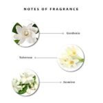 Enchanteur Gorgeous Roll-On Deodorant for Women (50ml) - Image 5