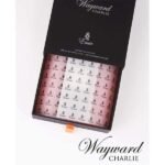 Paris Corner Emir Wayward Charlie EDP Unisex Perfume (100ml) - Image 3