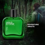 Wild Stone Forest Spice Eau De Parfum (50ml) - Image 5