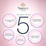 Yardley London Mist Daily Wear Perfume Eau de Toilette For Women (100ml) - Image 4